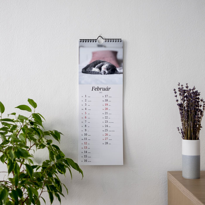 Kalendar na stene s fotkou mačky.