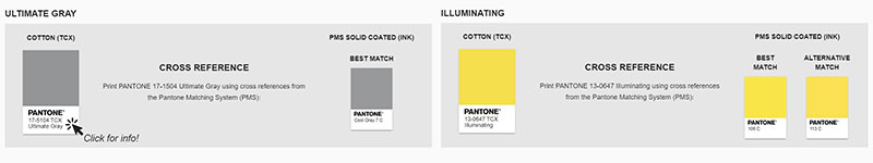 pantone farba roka 2021