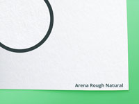 Arena Rough Natural