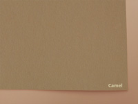 Camel