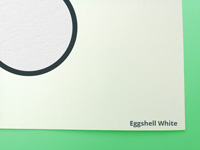 Eggshell White