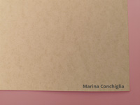 Marina Conchiglia